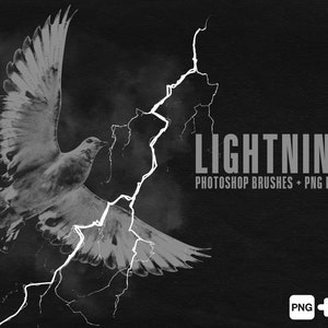 May include: A black and white image of a dove flying through a lightning bolt. The text "LIGHTNING" is written in white letters on a black background. The text "PHOTOSHOP BRUSHES + PNG FILES" is written in white letters on a black background below the word "LIGHTNING".