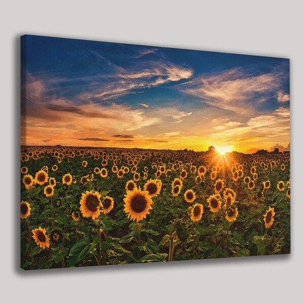 Sunflowers Art Print Etsy