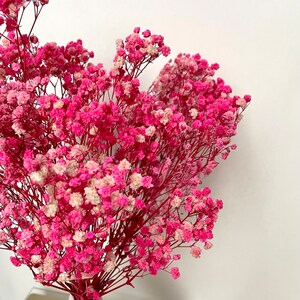Bunch of gypsophila pink bouquet with 4-5 stems