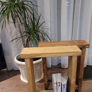 May include: Two wooden side tables, one light and one dark, with a simple, rectangular design. The tables have a shelf for storage and are holding books. A potted plant with long green leaves is in the background.