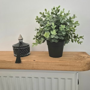 May include: A wooden shelf with a black glass jar with a tassel and a potted green plant on top. The shelf is mounted on a white radiator.