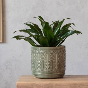 Sage Green Ceramic Planter | Protea Design Plant Pot | Green Indoor Plant Pots | Indoor Planter Pot Cover | Decorative Plant Pots