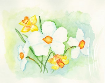 Daisies and Dafodils