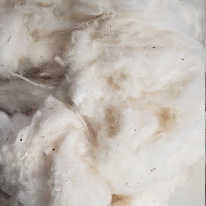 Raw cotton, ginned in Texas, Filling, Batting, Stuffing