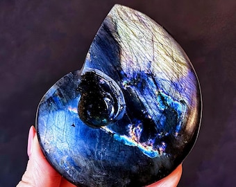 Flashy Labradorite Shell Carving, Healing Crystal Decor (3.2in)