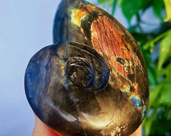 Flashy Labradorite Shell Carving, AAA+ Grade Crystal Decor
