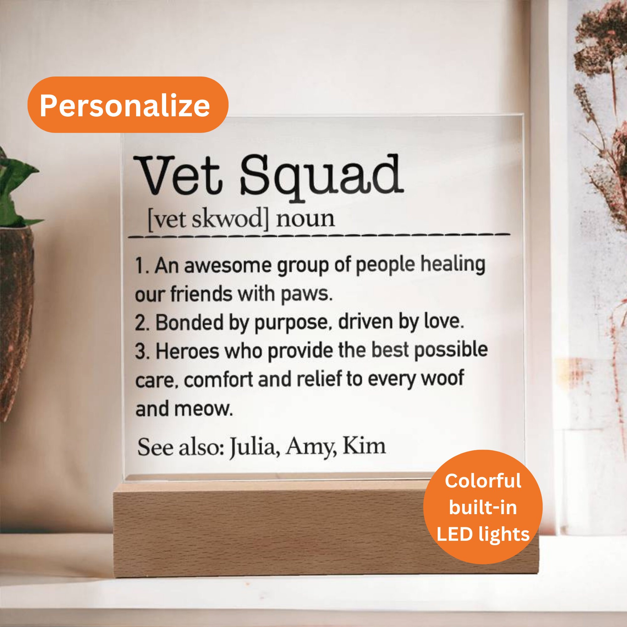 Personalized Vet Squad Definition, Vet Squad Definition Gift, Custom Vet Squad Gift, Vet Squad