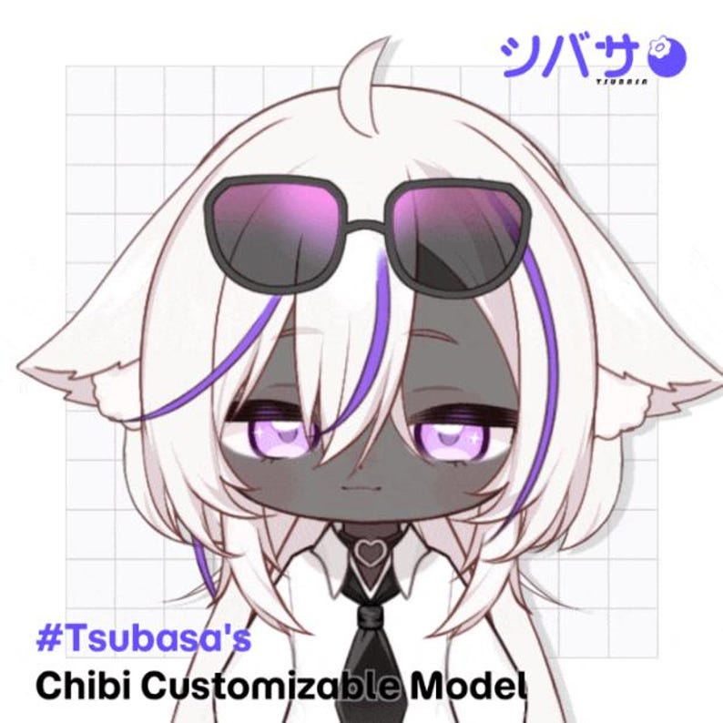 Tsubasa's Chibi Anpassbares Modell V2.0 | Vtuber | Live2D | Vorgefertigtes Modell Bild 3