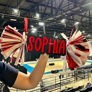 Personalized Cheer Stick with Pom Poms | Game Day School Spirit Sign | Custom Name Cheer Sign | Sports Mom Sign | College Graduation Cheer