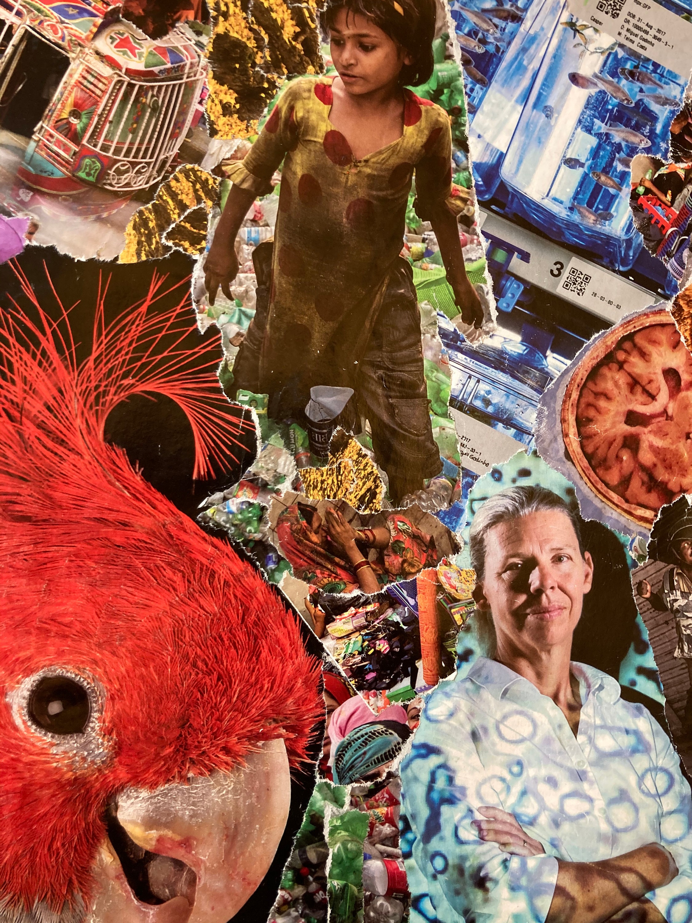 Collage del National Geographic 1 | Etsy