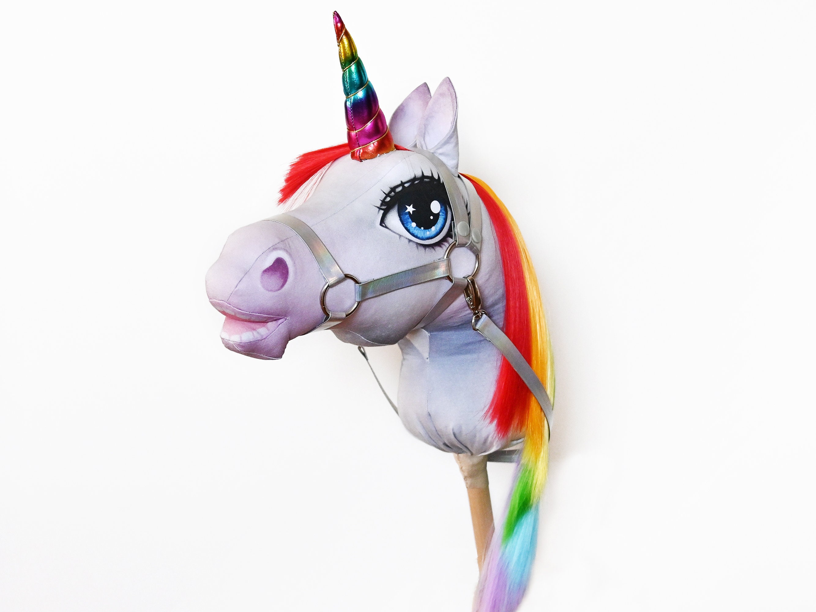 Mon Lovely Horse 6 pièces / ensemble Paarden licorne mignon Rainbow Dash  cheval