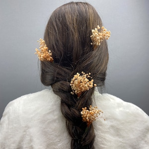 Wedding Hair Pins, Wedding Hair Pins, Dried flower Hair Accessory, Bridal Hair Piece Boho, Flower Bridal Headpiece, Bridal Hair Pin, Comb