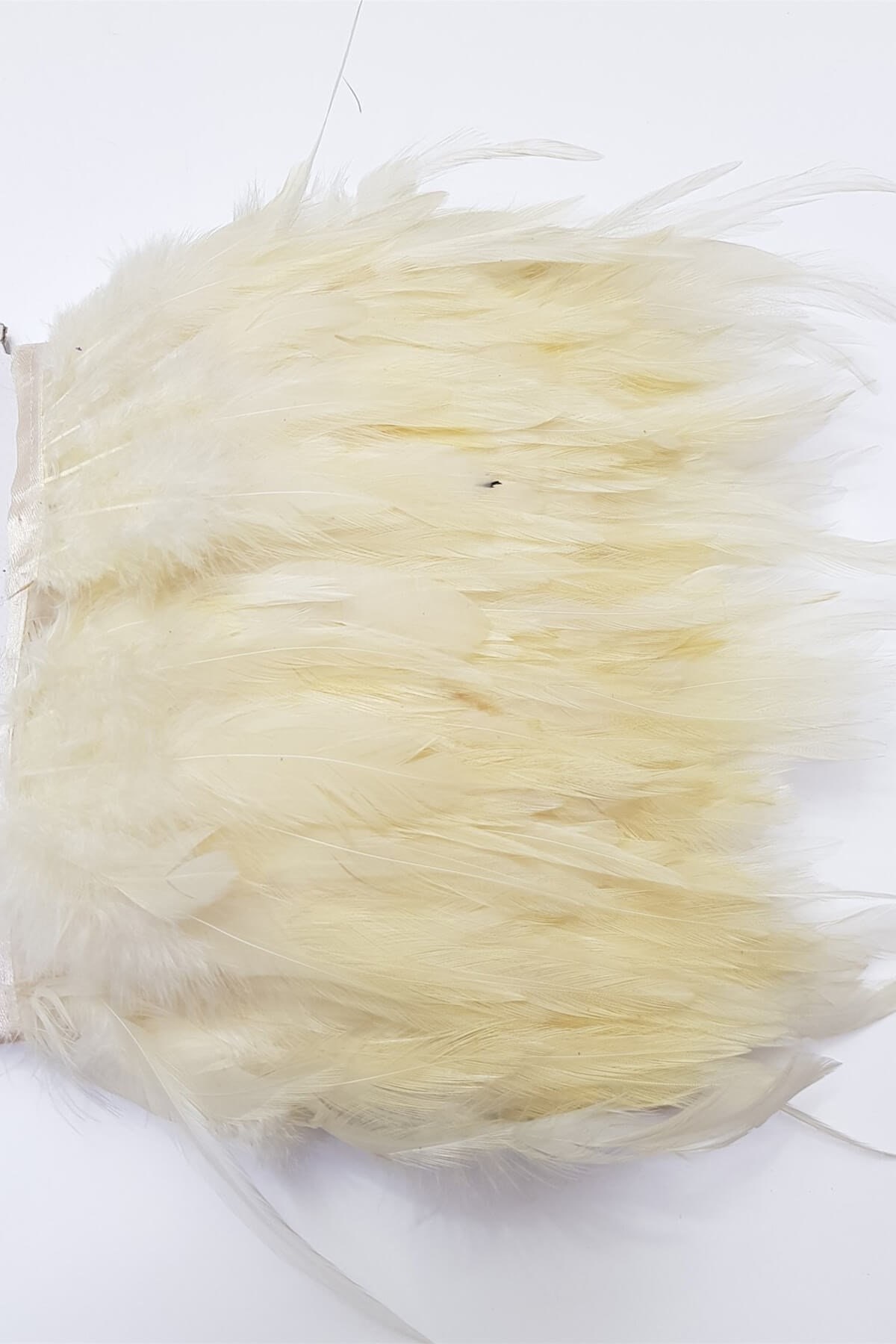 Cream Rooster Feather 1 Mt Soft Feather Natural Feather Etsy