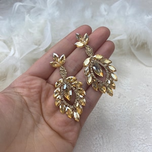 May include: A pair of gold tone dangle earrings with a teardrop shape and a cluster of clear crystals.