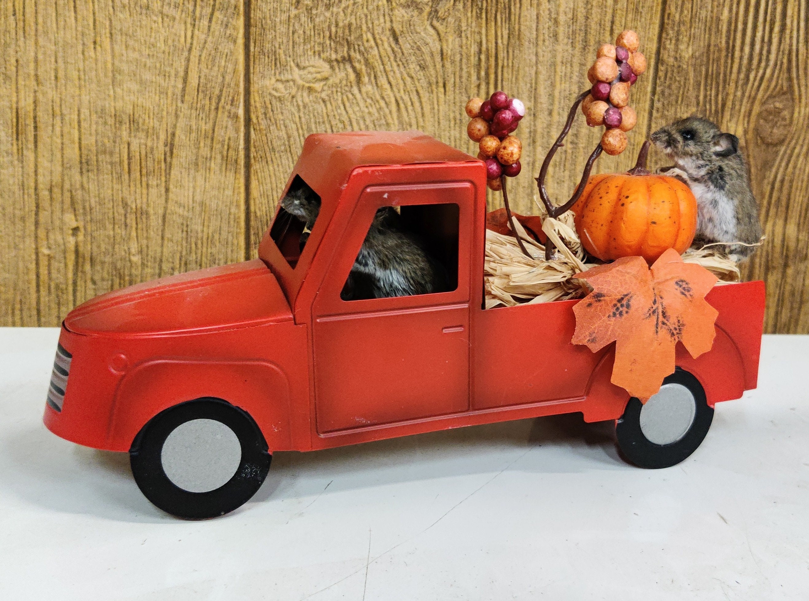 View of Fall Freeze Dried Mice Taxidermy Truck Decoration Cabin - Etsy