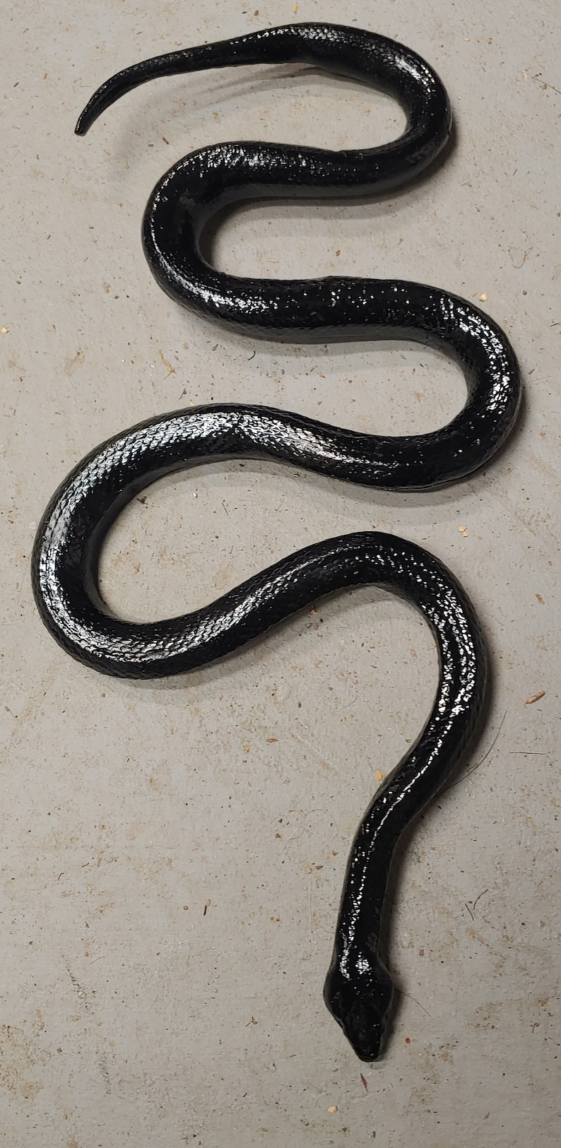 K&ouml;nnte beinhalten: Eine schwarze Schlange mit gl&auml;nzender, glatter Textur ist auf einer grauen Betonfl&auml;che zusammengerollt.