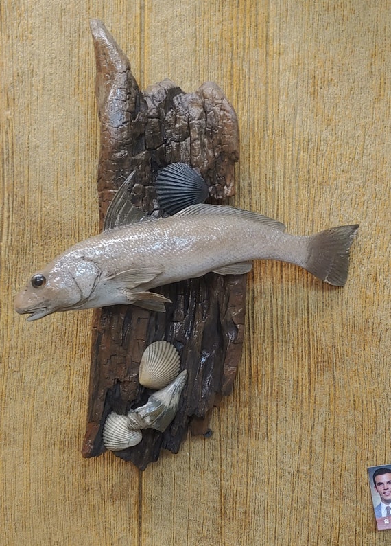 Virginia Mullet Whiting Fish Mount Taxidermy Saltwater Ocean Beach House  Decor