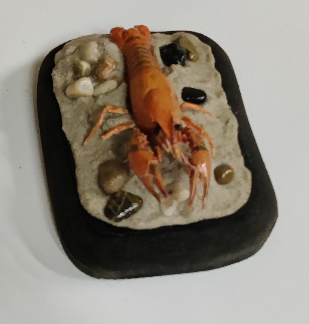 Crawfish Taxidermy Freeze Dried Fishing Creek Outdoors Water Cabin Decor Etsy