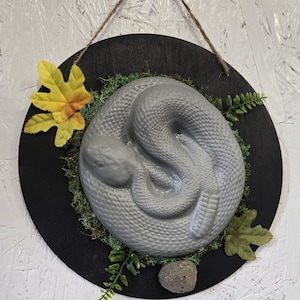 Klapperschlangen-Replik, Wandbehang aufgewickelt, Kabine, im Freien, Natur, Schlangen-, Schlangen-, Schlangenkunst-Reptilguss
