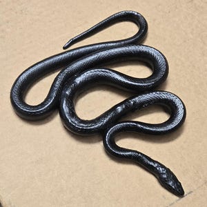 Puede incluir: Una figura de serpiente negra con una superficie texturizada, enrollada en una pose relajada. El cuerpo de la serpiente es brillante y la cabeza está detallada con un hocico y ojos definidos. La figura está sobre un fondo neutro.
