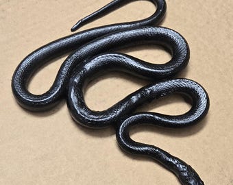 Stidsds 100pcs Stuzzicadenti Con Bandierina - Serpente Nero - 3