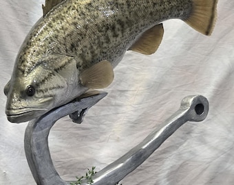 Largemouth Bass Reproduction Fish Mount Trophy Closed Mouth On Fish Hook Unique Cabin Decor