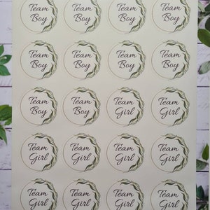 Glanzende team meisjes team jongensstickers, 20 per vel, gender reveal, ideeën voor gender reveal, babymeisje, babyjongen, feeststickers, babystickers