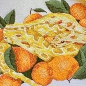 Pode incluir: Um aro de bordado branco com uma cobra amarela enrolada em torno de um grupo de frutas laranja. A cobra e as frutas são bordadas em detalhe com folhas verdes.