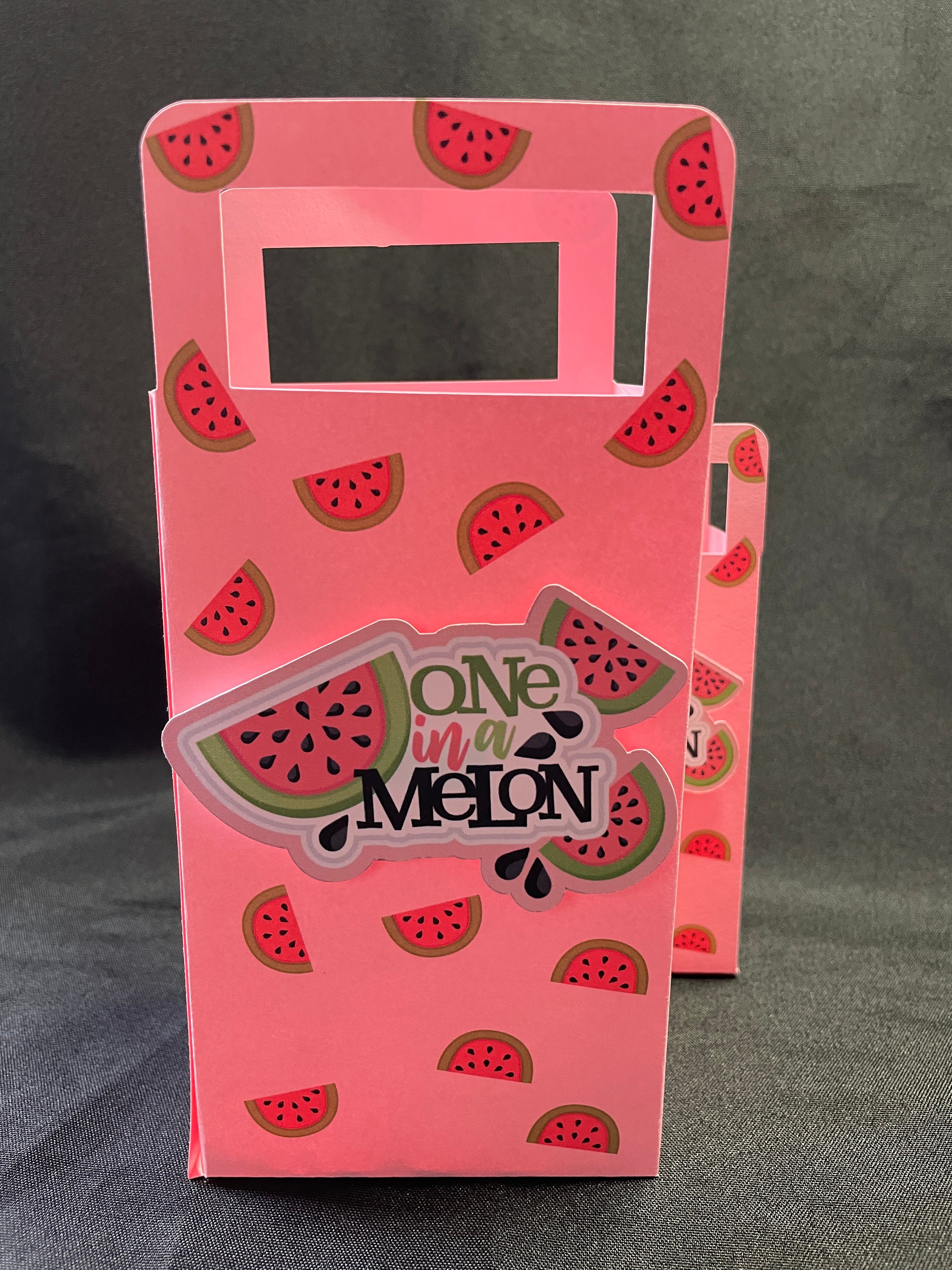 One in a Melom/Watermelon Birthday Party Decoration Gift/Favor | Etsy