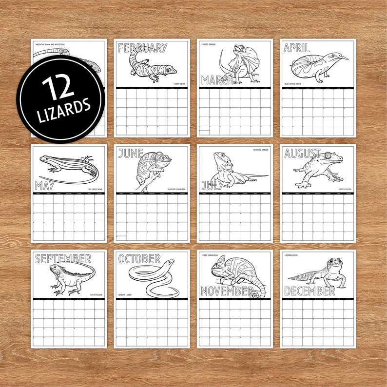 2024 Wall Calendar, Lizard Coloring Calendar, Printable Calendar, 2024