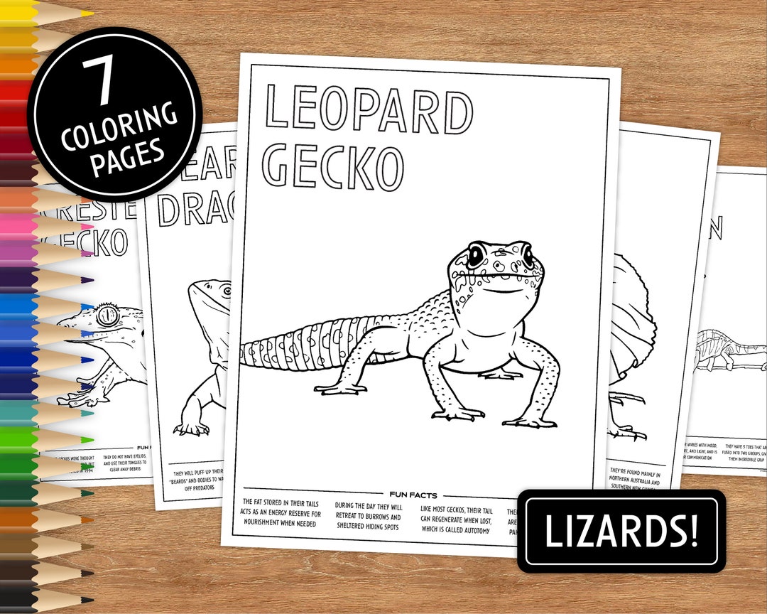 7 Printable Coloring Pages, Lizards With Fun Facts, Coloring Pages for