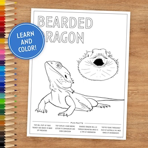 Bearded Dragon Coloring Page: Fun Facts, Reptile Art (Digital Download)