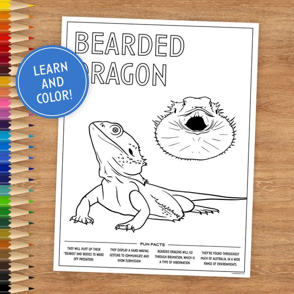 Printable Coloring Page, Bearded Dragon, Includes Fun Facts, Coloring Pages for Kids, Coloring Pages Printable, Digital Download, Lizard