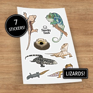 7 Eidechsen Aufkleber, Aufkleber Bogen, Aufkleber Reptilien, Laptop Aufkleber, Aufkleber Wasserflasche, Bartagame, Leopardgecko, Haubengecko