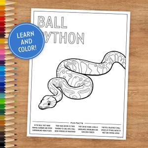 Ball Python Coloring Page with Fun Facts (Digital Download)
