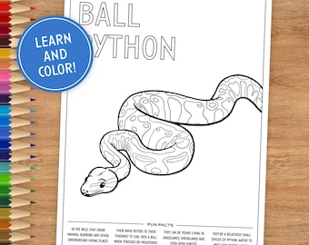 Ball Python Coloring Page with Fun Facts (Digital Download)