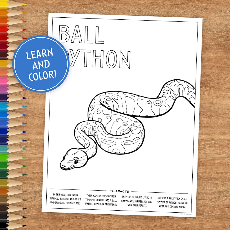 Printable Coloring Page, Ball Python, Includes Fun Facts, Coloring ...