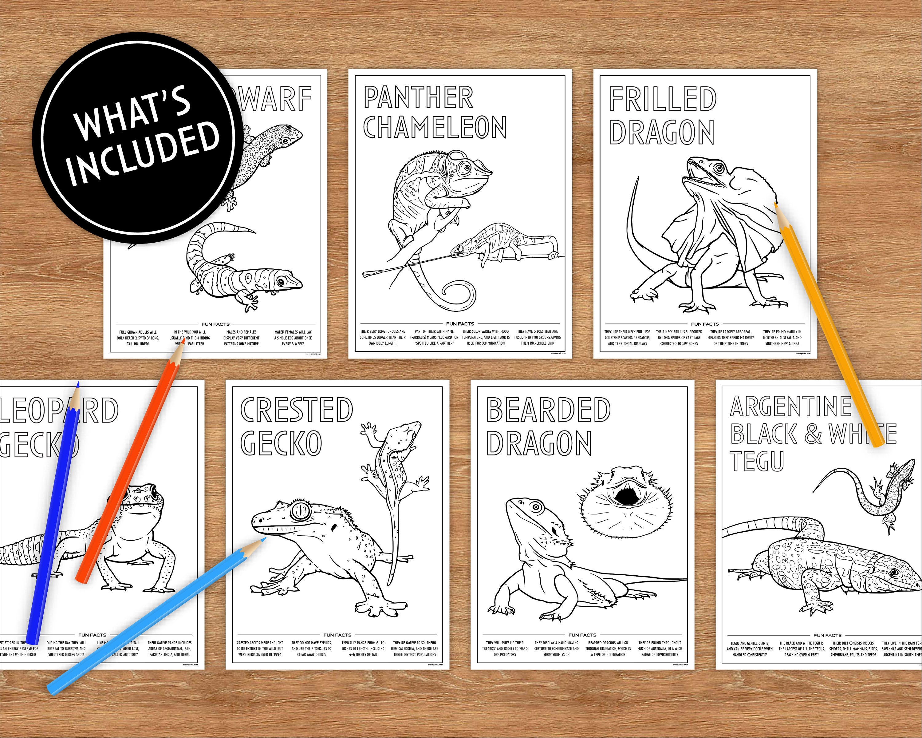 7 Printable Coloring Pages, Lizards With Fun Facts, Coloring Pages for