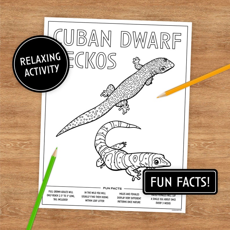 12 Printable Coloring Pages, Lizards With Fun Facts, Coloring Pages for ...