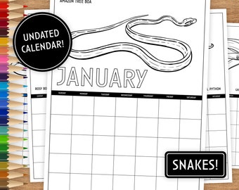 Undated Wall Calendar, Snake Coloring Calendar, Printable Calendar, Printable Coloring Pages, Coloring Pages Printable