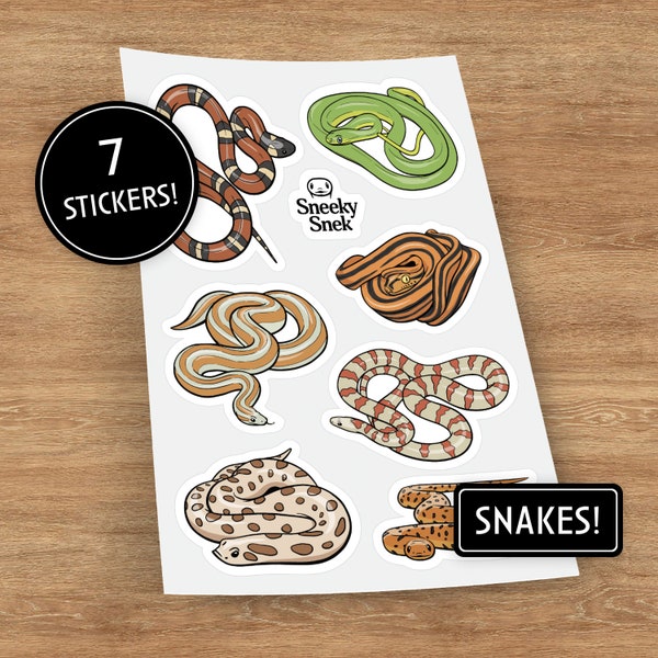 7 Snake Stickers, Sticker Sheet, Reptile Stickers, Laptop Stickers, Water Bottle Stickers, Vinyl Stickers, Laptop Decals