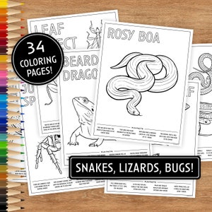 34 Printable Coloring Pages, Snakes & Lizards, Coloring Pages for Kids, Coloring Pages Printable, Digital Download, Animals, Reptiles