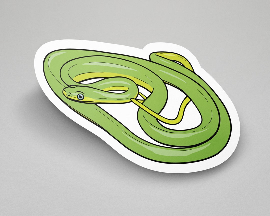 Snake Sticker Green Bush Rat Snake Reptile Sticker Laptop Etsy