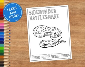 Printable Coloring Page, Includes Fun Facts, Coloring Pages for Kids, Coloring Pages Printable, DIGITAL DOWNLOAD, Animal, Reptile, Snake
