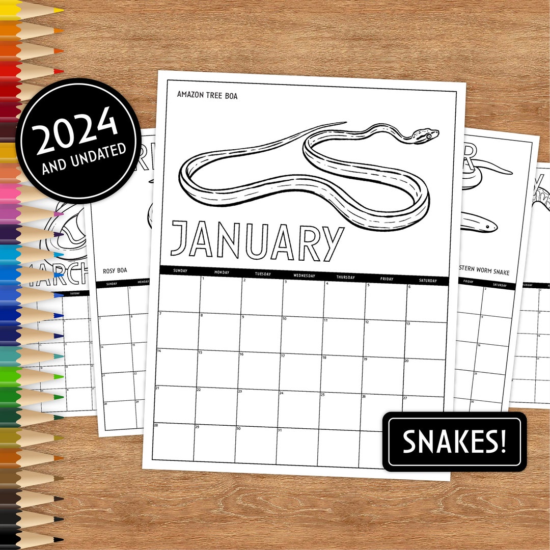 2024 Wall Calendar, Snake Coloring Calendar, Printable Calendar, 2024 Calendar, Printable ...