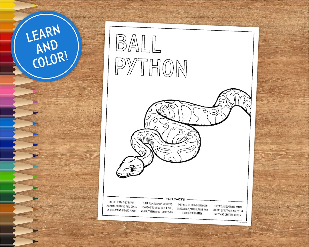 Printable Coloring Page, Ball Python, Includes Fun Facts, Coloring ...
