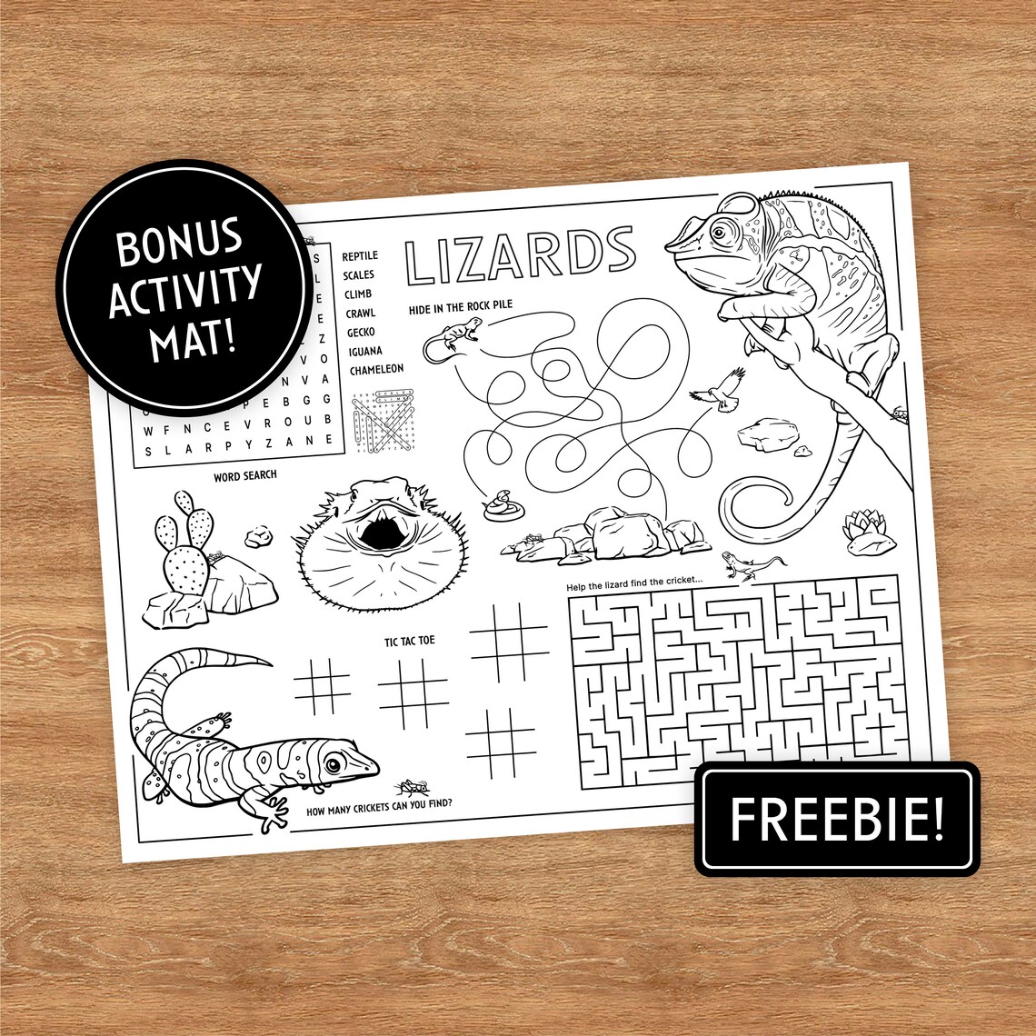 12 Printable Coloring Pages, Lizards With Fun Facts, Coloring Pages for ...