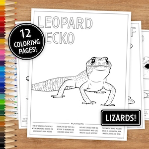 12 páginas para colorir para impressão, lagartos com curiosidades, páginas para colorir para crianças, páginas para colorir para impressão, download digital, animais, lagartixas