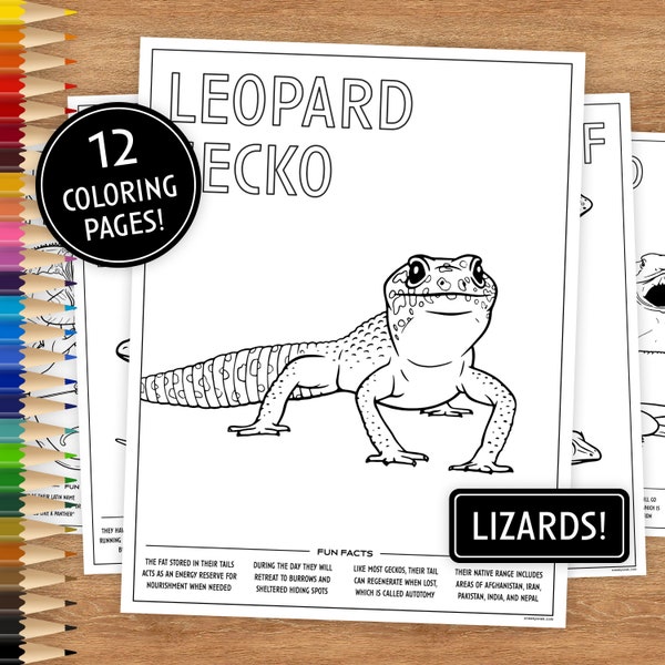 12 Printable Coloring Pages, Lizards with Fun Facts, Coloring Pages for Kids, Coloring Pages Printable, Digital Download, Animals, Geckos