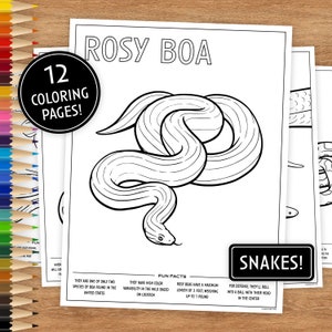 12 Páginas para colorear imprimibles, Serpientes con datos divertidos, Páginas para colorear para niños, Páginas para colorear imprimibles, Descarga digital, Animales, Reptiles